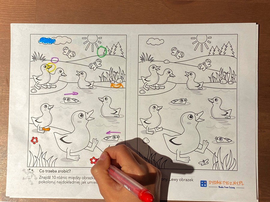 13 Kart Pracy Ćwiczenie spostrzegawczości - wstęp do nauki 13-kart-pracy-cwiczenie-spostrzegawczosci-wstep-do-nauki-dydaktyczny.pl-1