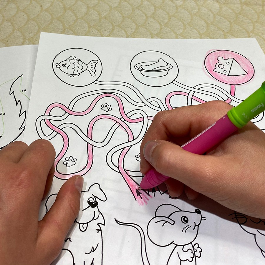 Labirynty - 18 plansz Dydaktyczny-labirynty-1