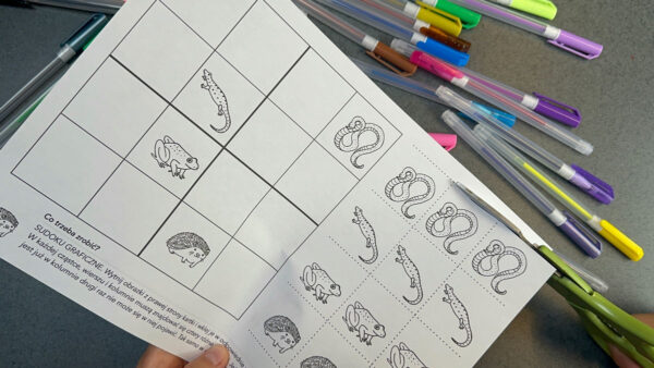 13 Kart z Sudoku graficznym dla najmłodszych dydaktyczny