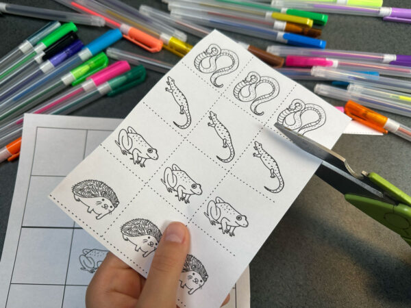 13 Kart z Sudoku graficznym dla najmłodszych dydaktyczny
