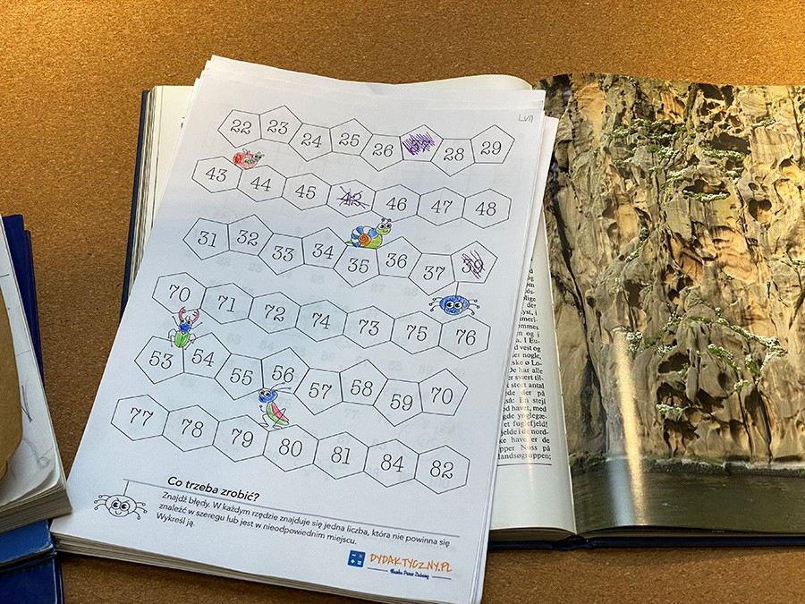 10 Kart Pracy – Liczę do 100 Karty Pracy Licze Do Matematyka dydaktyczny