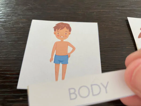 „Human body” – 10 Kart Pracy + 6 tablic z kartami trójdzielnymi + etui  Kart Pracy Angielski Human Body dydaktyczny