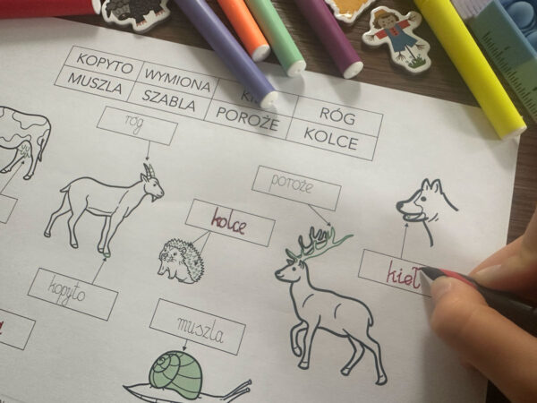 "Mieszkańcy zagród i lasów" - 6 Kart pracy + 36 Kart trójdzielnych + Znakomita gra planszowa "Leśna przygoda" dydaktyczny