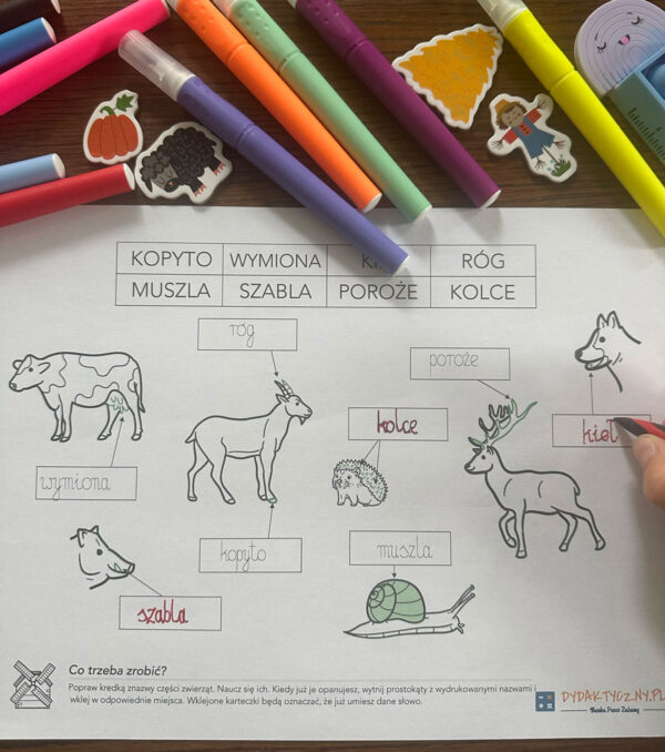 "Mieszkańcy zagród i lasów" - 6 Kart pracy + 36 Kart trójdzielnych + Znakomita gra planszowa "Leśna przygoda" dydaktyczny