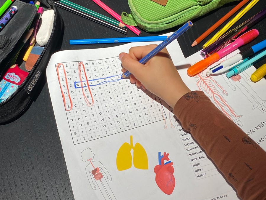 10 Kart Pracy - Anatomia dla malucha - Co mamy w środku? 10-kart-pracy-anatomia-dla-malucha-co-mamy-w-srodku-dydaktyczny.pl-2