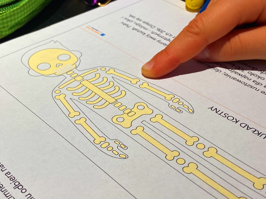 10 Kart Pracy - Anatomia dla malucha - Co mamy w środku? 10-kart-pracy-anatomia-dla-malucha-co-mamy-w-srodku-dydaktyczny.pl-8