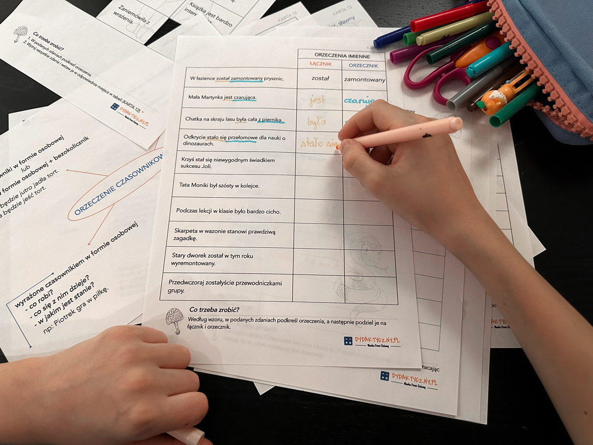 14 Kart Pracy - Orzeczenia + 3 Karty Dydaktyczne orzeczenie