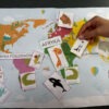 Duży zestaw przyrodniczo-geograficzny "Zwierzęta kontynentów" - Kolory Montessori dydaktyczny