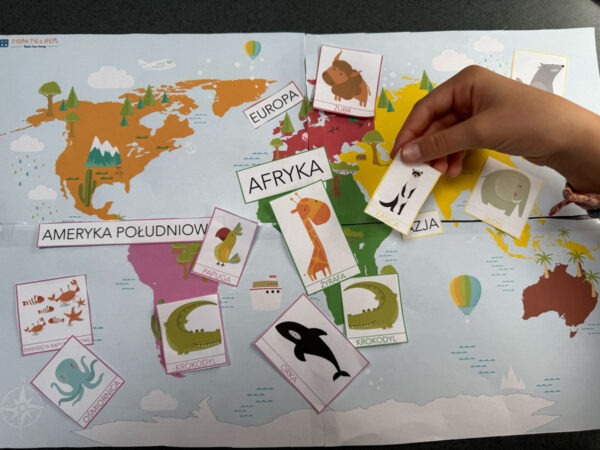 Duży zestaw przyrodniczo-geograficzny "Zwierzęta kontynentów" - Kolory Montessori dydaktyczny