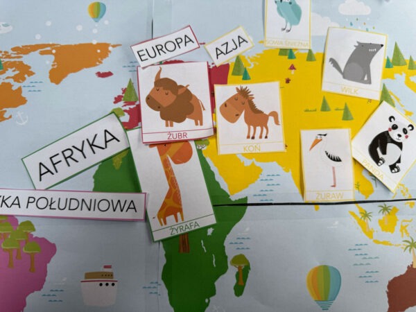 Duży zestaw przyrodniczo-geograficzny "Zwierzęta kontynentów" - Kolory Montessori dydaktyczny