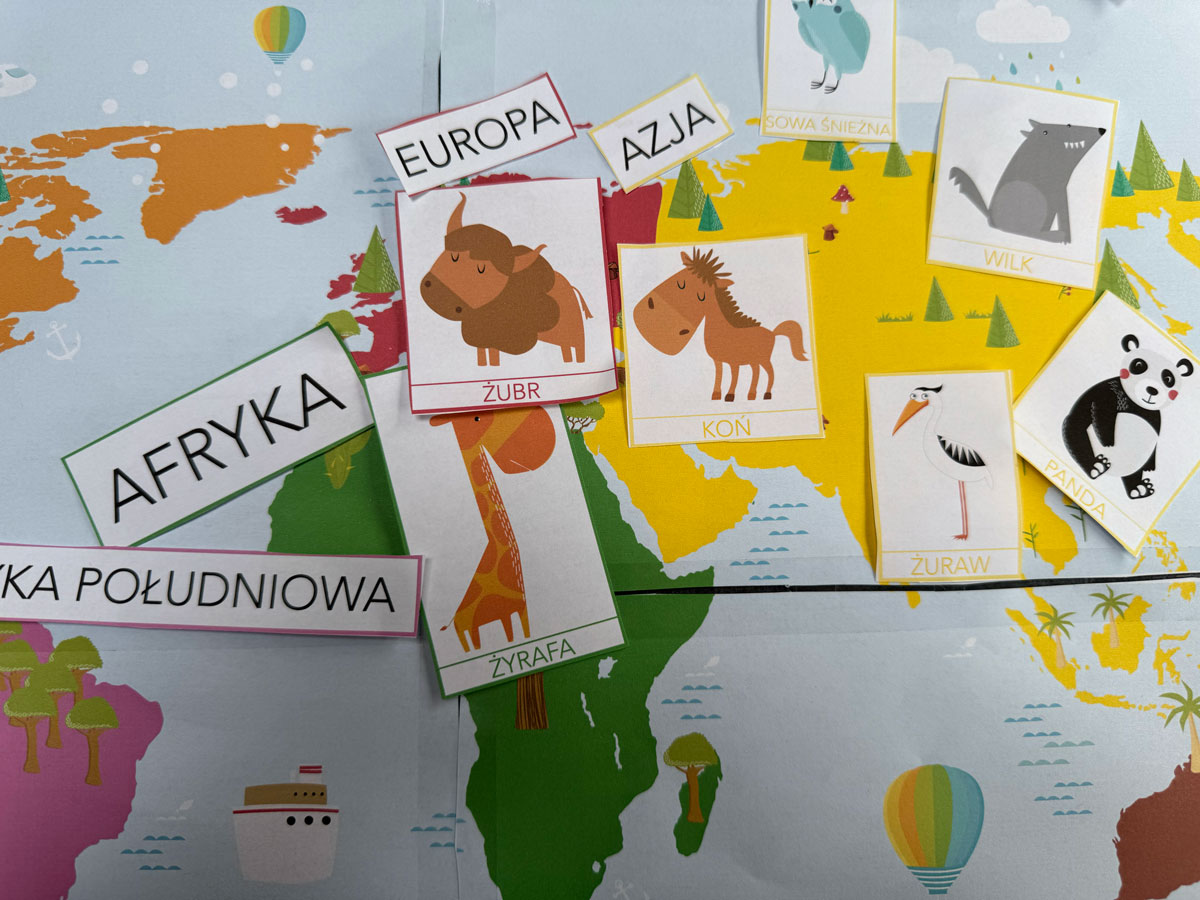 Duży zestaw przyrodniczo-geograficzny "Zwierzęta kontynentów" - Kolory Montessori 2