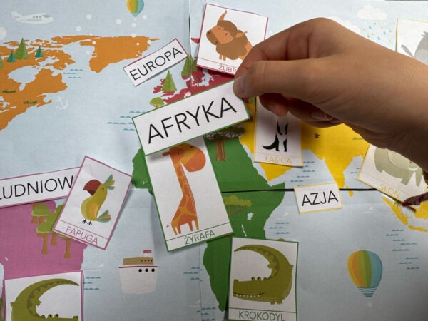 Duży zestaw przyrodniczo-geograficzny "Zwierzęta kontynentów" - Kolory Montessori dydaktyczny
