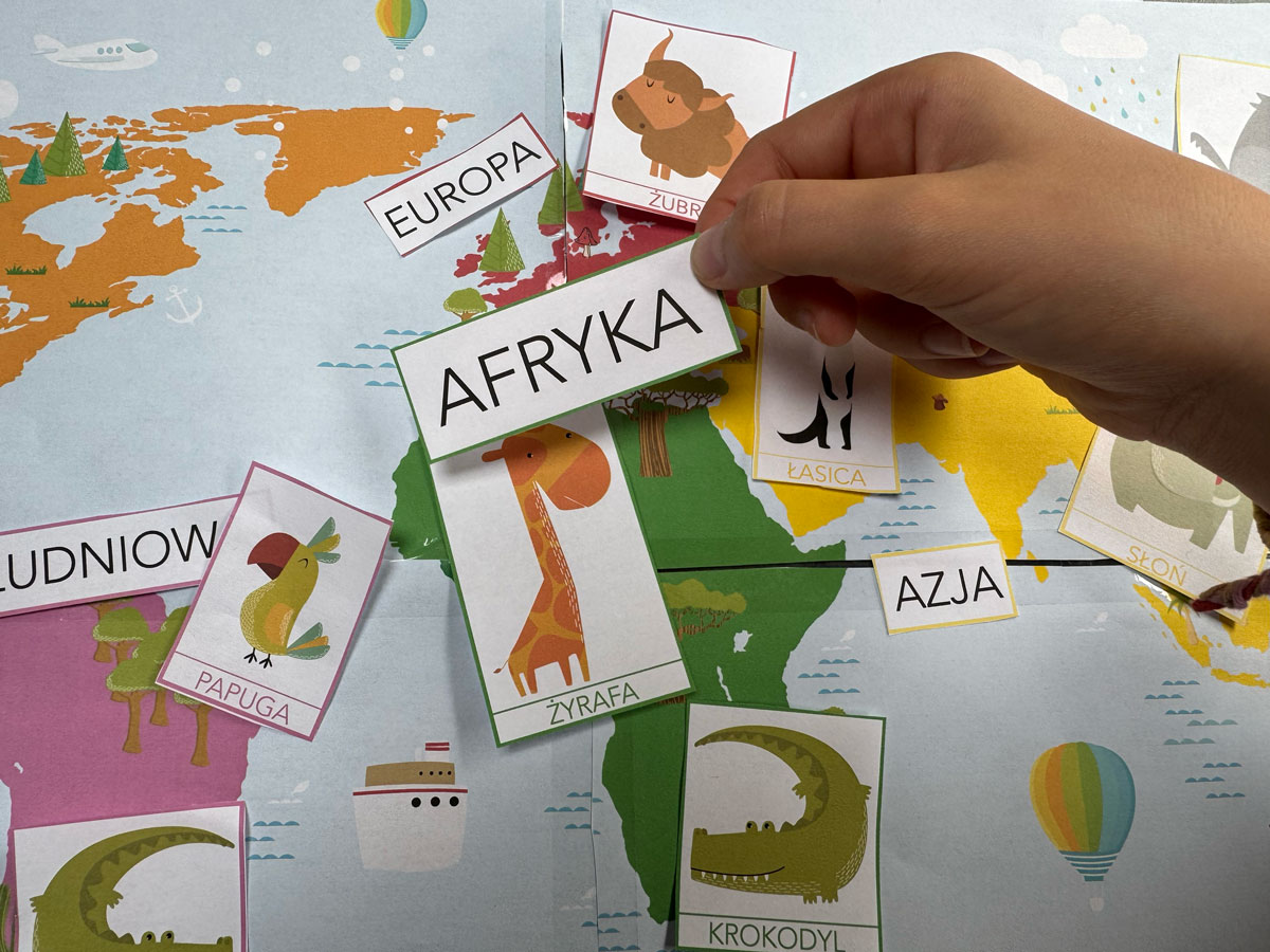 Duży zestaw przyrodniczo-geograficzny "Zwierzęta kontynentów" - Kolory Montessori 3