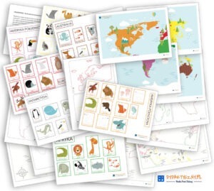 Duży zestaw przyrodniczo-geograficzny „Zwierzęta kontynentów” – Kolory Montessori dydaktyczny