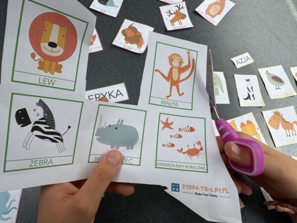 Duży zestaw przyrodniczo-geograficzny "Zwierzęta kontynentów" - Kolory Montessori dydaktyczny