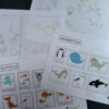 Duży zestaw przyrodniczo-geograficzny "Zwierzęta kontynentów" - Kolory Montessori dydaktyczny