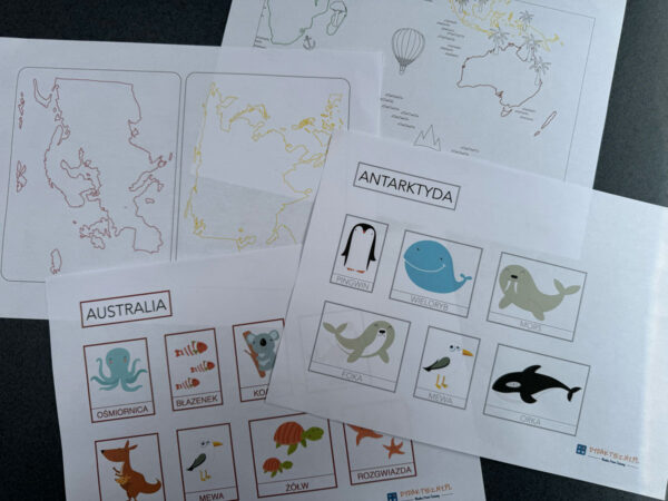 Duży zestaw przyrodniczo-geograficzny "Zwierzęta kontynentów" - Kolory Montessori dydaktyczny