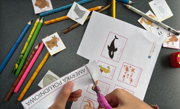 Duży zestaw przyrodniczo-geograficzny "Zwierzęta kontynentów" - Kolory Montessori dydaktyczny