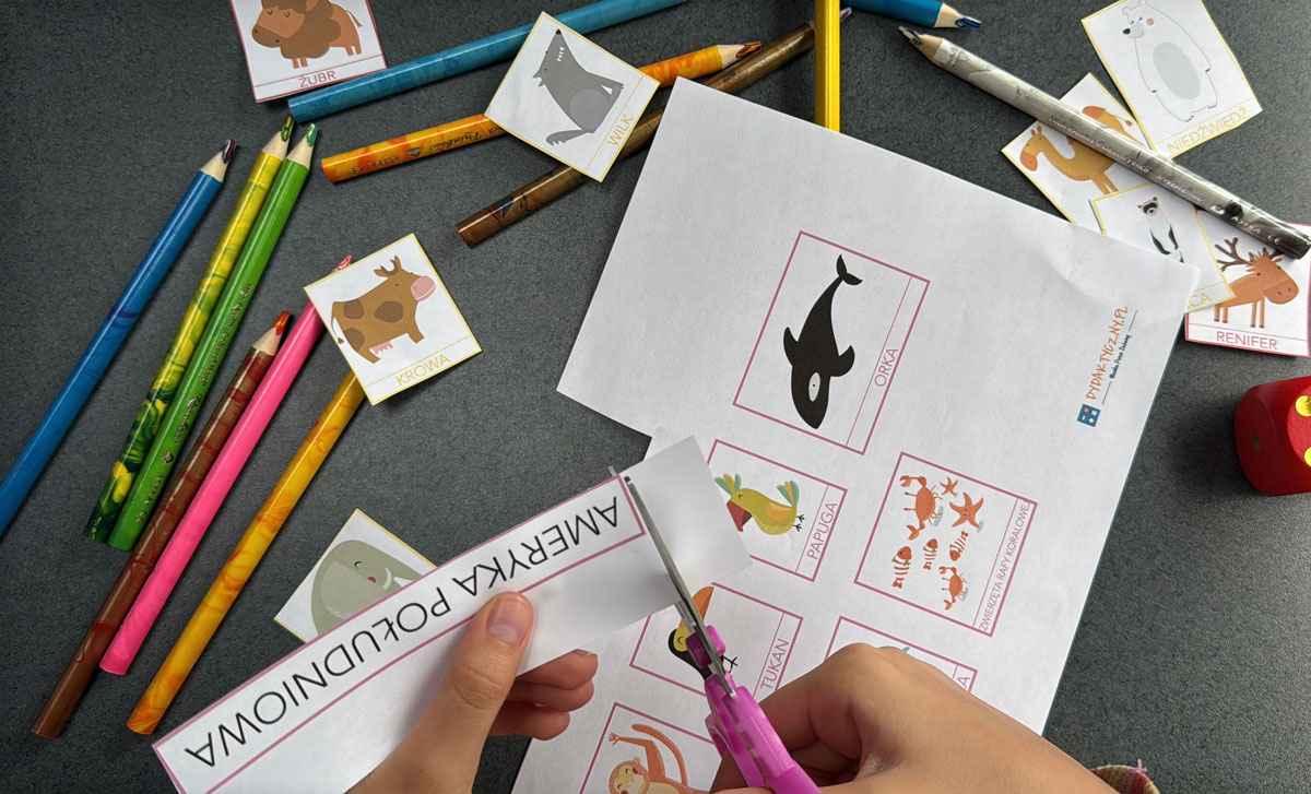 Duży zestaw przyrodniczo-geograficzny "Zwierzęta kontynentów" - Kolory Montessori 8