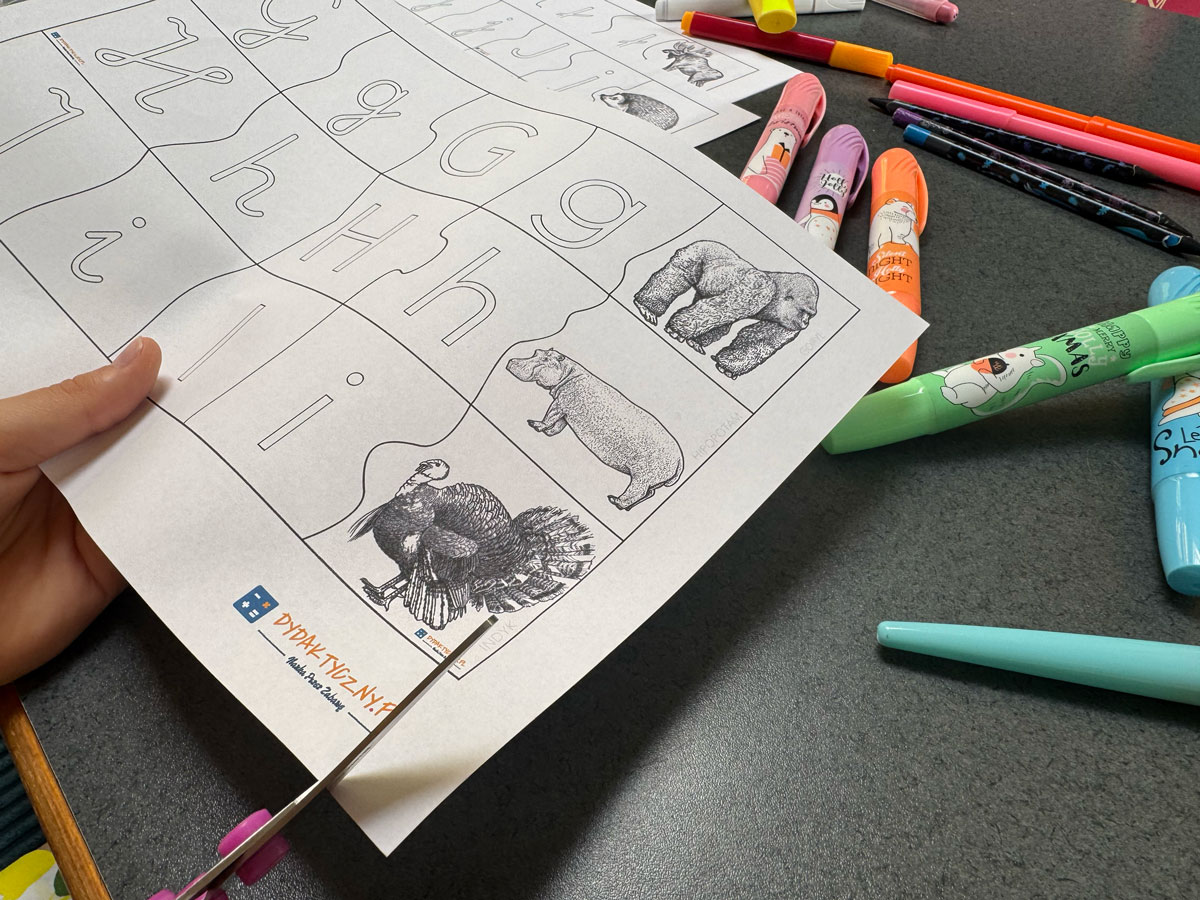 Gra w dobieranie - Alfabet 9