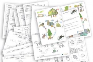 Jak efektywnie używać kart pracy podczas nauki o roślinach i zwierzętach? dydaktyczny-29